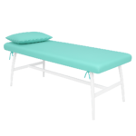 Sábana Para Estética Color Verde Menta Paquete x 5 Und